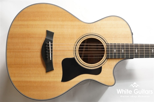 312ce 12Fret V-Class